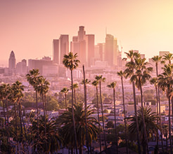 Los Angeles Hotels 18 19 20 Years Old Check-In and Booking