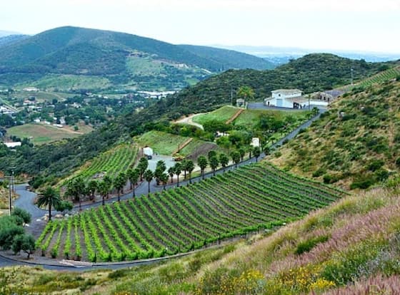 Sunshine Mountain Bed and Breakfast allows check-in for 18 year-old guests