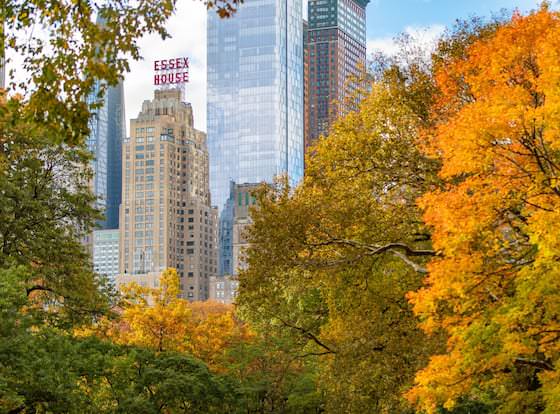 JW Marriott Essex House New York allows check-in for 18 year-old guests