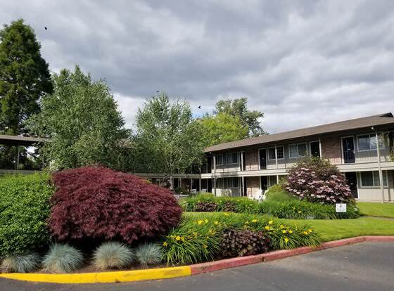 Village Inn Springfield allows check-in for 18 year-old guests