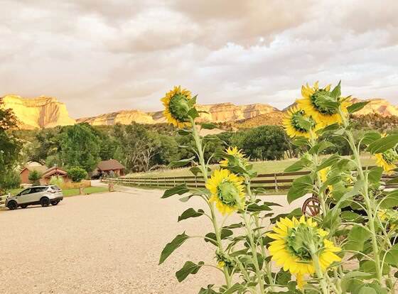 Arrowhead Country Inn and Cabins allows check-in for 18 year-old guests