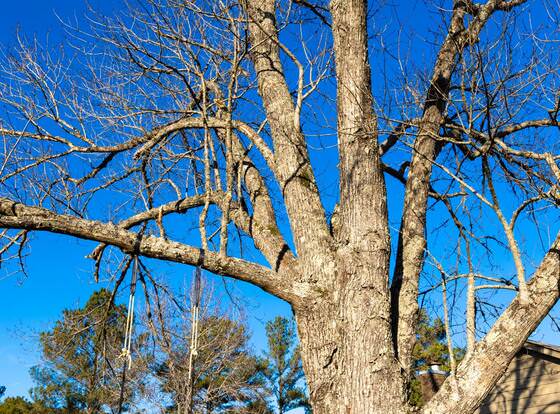Moon Lake Retreat allows check-in for 18 year-old guests