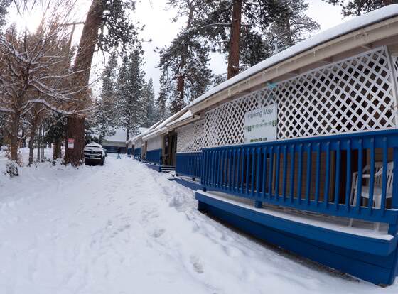 Cathy's Cottages allows check-in for 18 year-old guests