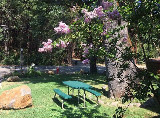 Dunsmuir Lodge allows check-in for 18 year-old guests