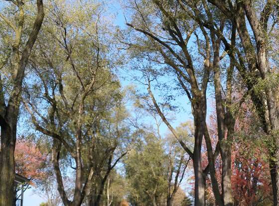 Plantation Motel allows check-in for 18 year-old guests