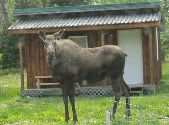 Whispering Winds Retreat B&B allows check-in for 18 year-old guests