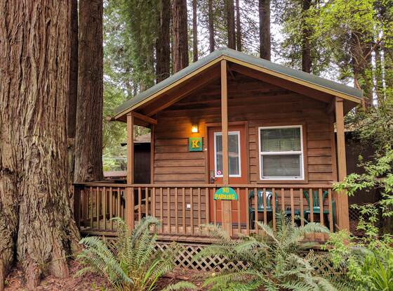 Emerald Forest Cabins allows check-in for 18 year-old guests
