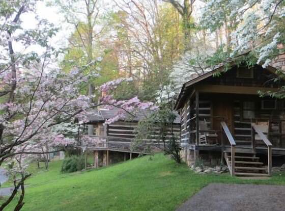 Brevard Inn and Cabins allows check-in for 18 year-old guests