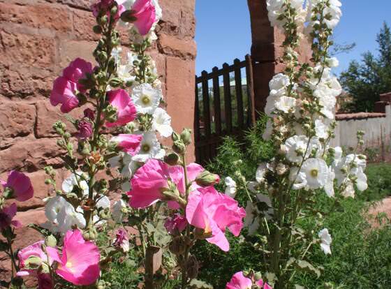 La Posada Hotel allows check-in for 18 year-old guests