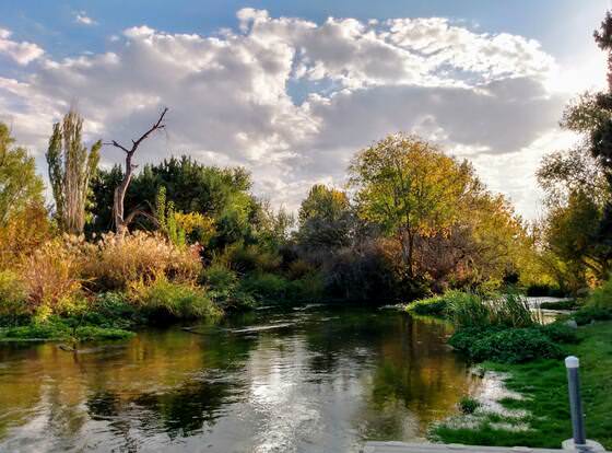 Billingsley Creek allows check-in for 18 year-old guests