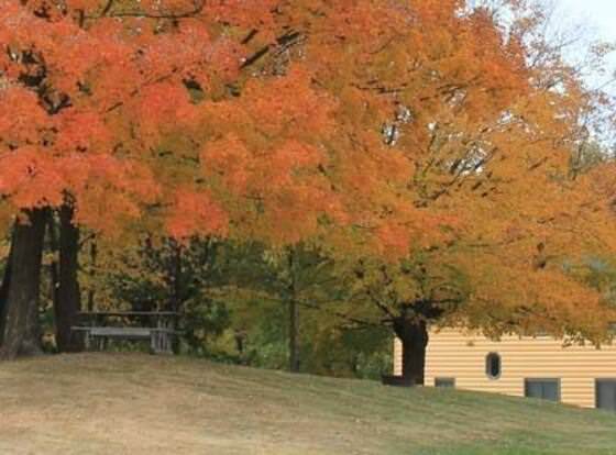 McQuoid's Inn and Event Center allows check-in for 18 year-old guests