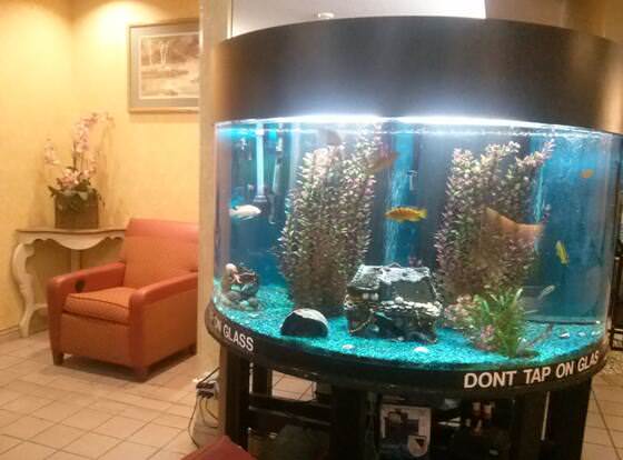 Val U Stay Inn and Suites allows check-in for 18 year-old guests