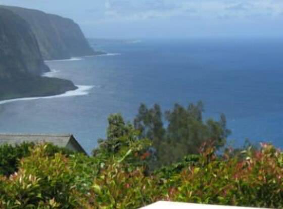 Hale Kukui Orchard & Cottages allows check-in for 18 year-old guests