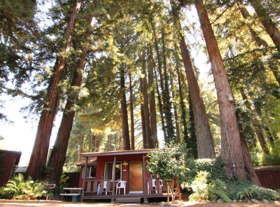 Fern River Resort allows check-in for 18 year-old guests