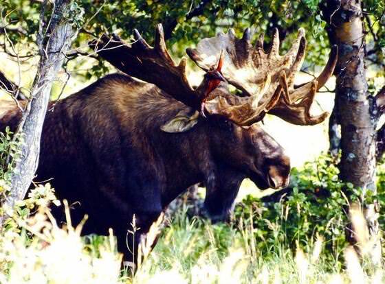 Butte's Bethel Farm B&B allows check-in for 18 year-old guests