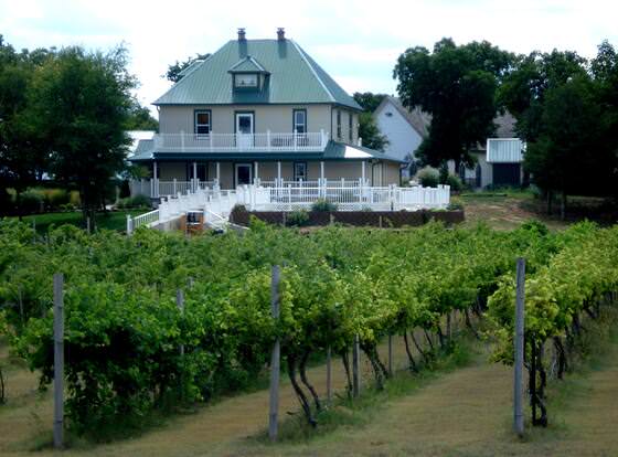 Indian Creek Village Winery allows check-in for 18 year-old guests