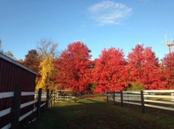 Flint Hill Farm AG allows check-in for 18 year-old guests