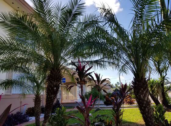 Parkway Inn Airport Motel Miami allows check-in for 18 year-old guests