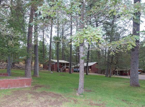Canyon Cabins allows check-in for 18 year-old guests