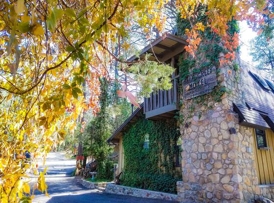 Bear Creek Motel And Cabins allows check-in for 18 year-old guests