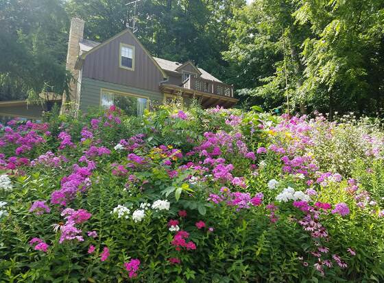 Contented Cottage Bed and Breakfast allows check-in for 18 year-old guests