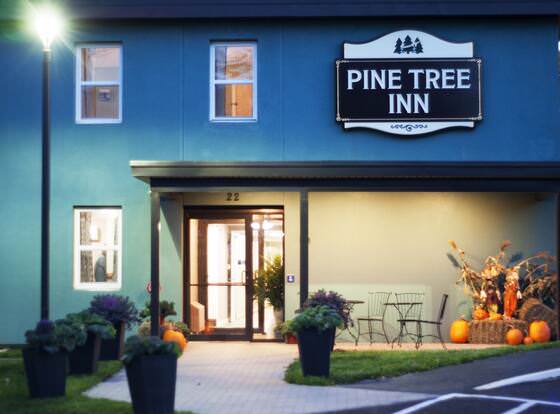 Pine Tree Inn allows check-in for 18 year-old guests