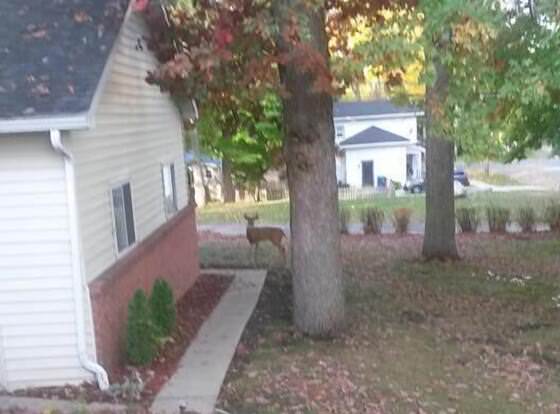 Rose Corner Inn allows check-in for 18 year-old guests