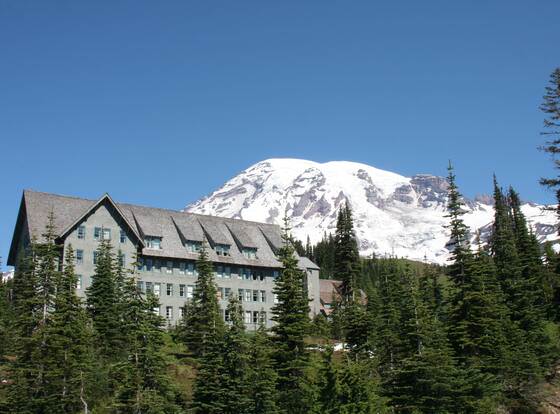 Paradise Inn allows check-in for 18 year-old guests