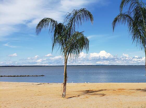 Colonial Beach Plaza Bed & Breakfast allows check-in for 18 year-old guests