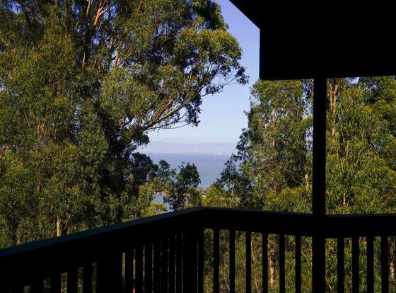 At Marbella Lane - Flamingo Lady, SFO allows check-in for 18 year-old guests