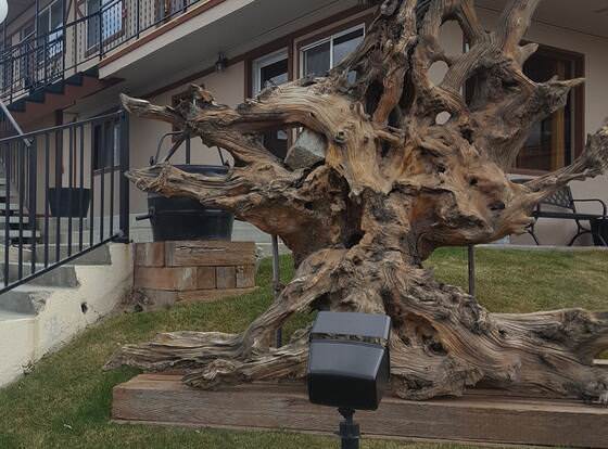 Bristlecone Motel allows check-in for 18 year-old guests